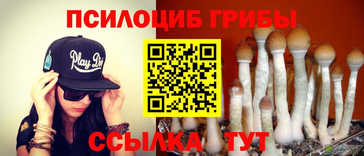 Галлюциногенные грибы MAGIC MUSHROOMS  Вход с VPN  Иваново  Галлюциногенные грибы GOLDEN TEACHER 